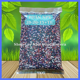 Mua Phân NPK 20-20-15+TE Hạt 4 Màu Cao Cấp (1KG)