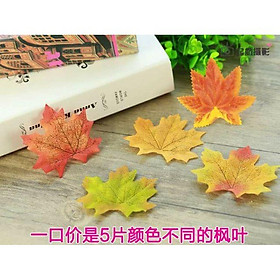 Mua Set 5 lá phong - phụ kiện chụp ảnh