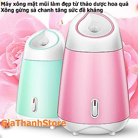 Máy Xông mặt mũi họng từ Sả chanh, Thảo dược, Hoa quả Tươi Tự Động 2in1