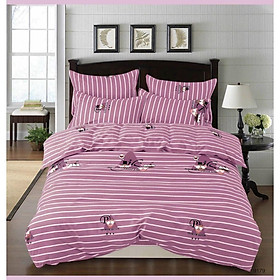 [Bộ 5 món] CHĂN DRAP GỐI COTTON 100% JEJUBEDDING