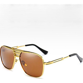 Mắt kính râm nam Polarized PE200 (nâu gọng vàng)