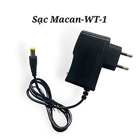 Mua Sạc pin 12V WT-1