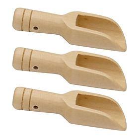 3 Pieces Mini Wooden Spoon Mini Shovel Mini Bath Salt Spoon for Coffee