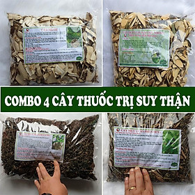 Bài Th.uốc nam suy thận, thận hư cực kỳ đơn giản, không tốn kém chi phí mà lại hiệu quả - Thảo Dược Số 1