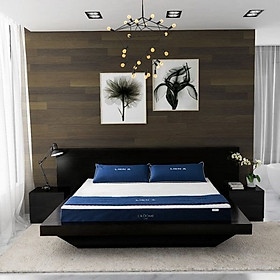 Mua Nệm Cao Su Thiên Nhiên Liên Á LaDome Cool Premium