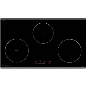 Mua Bếp Từ Eurosun EU-T881G - Hàng Chính Hãng