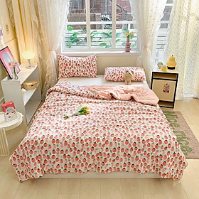 Chăn hè cotton đũi chần bông LIDACO Home 6 màu lựa chọn khổ rộng 2mx2m3