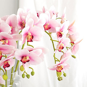 Hoa Lan Hồ Điệp Giả Trang Trí (70cm)