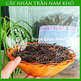 Mua Cây Nhân Trần Nam khô 1kg