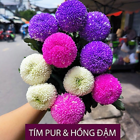 Gói Bột Nhuộm Hoa tươi Premium Color (7g pha 1L nước màu hoa) nhuộm Hơn 250 Cành Hoa Nhanh Chóng và Hiệu Quả, An Toàn Cho Người Sử Dụng Tại Nhà