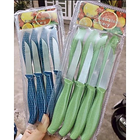 Mua Bộ Vỉ 12 Dao Inox Cắt Gọt Trái Cây  Rau Củ Siêu Bền  Không Rỉ Sét