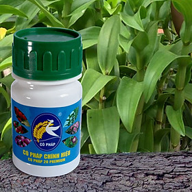 Mua Phân Bón NPK 20.20.20 cân bằng dinh dưỡng  hoàn thiện sinh khối phát triển rễ  thân  lá (100G)