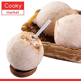 Dừa Xiêm Bến Tre - 1 Trái