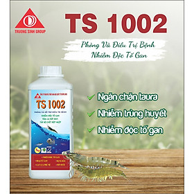 TS 1002 - Điều trị nhiễm độc tố gan, gan thận phù nề, hoại tử gan 