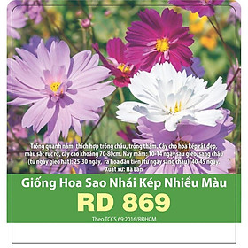 Mua Hạt Giống Sao Nhái Kép Nhiều Màu Rd 869 - 0.1g - mọc thành bụi  cánh hoa dày  lâu tàn  kích thước hoa 4 -6cm