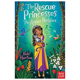 The Amber Necklace (Rescue Princesses)