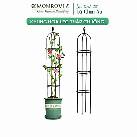 Khung hoa hồng leo MONROVIA, ống thép bọc nhựa, nhiều size phù hợp hoa giấy, cây cảnh