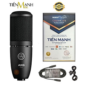 [Tặng Cable] Micro AKG P120 Mic Condenser Thu Âm Phòng Studio, Biểu Diễn Chuyên Nghiệp, Microphone Vocal Cardioid Hàng Chính Hãng