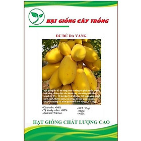 Mua Hạt giống đu đủ lùn da vàng F1 CT118 - Gói 5 hạt