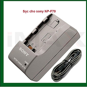 Mua Combo Pin Sạc Cho Máy ảnh Sony NP-FV100