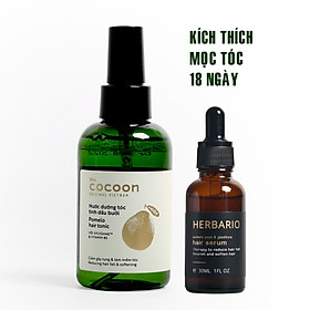 Nước xịt dưỡng tóc tinh dầu bưởi pomelo cocoon 140ml + Serum mọc tóc pomelo bồ kết herbario 30ml