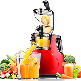 Mua Máy ép chậm cỡ lớn ép nguyên quả 96% lượng nước giữ nguyên chất dinh dưỡng dễ dàng tháo lắp sử dụng vệ sinh