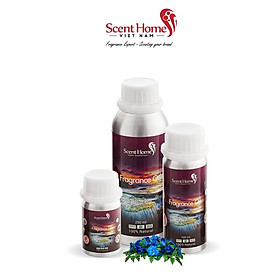 Tinh dầu Scent Homes - mùi hương (Blue Paria)