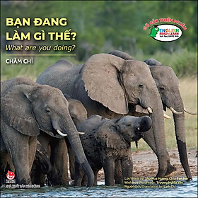 Hình ảnh Gõ Cửa Thiên Nhiên: Bạn Đang Làm Gì Thế? Chăm Chỉ - What Are You Doing?