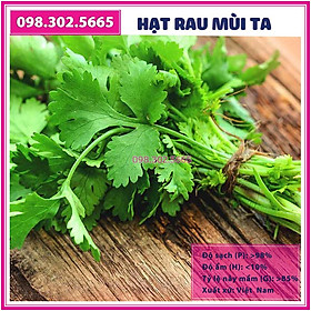 20g Hạt giống rau mùi ta hạt nhỏ - hạt rau chất lượng tốt, năng suất cao - rau ngò rí, ngò hạt nhỏ