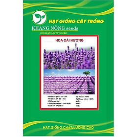 Hạt Giống Hoa Oải Hương tím ( Hoa Lavender) KNS3509 - Gói 50 hạt