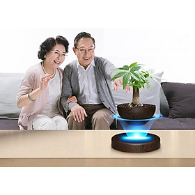 Mua Cây bonsai bay lơ lửng vân gỗ Đen