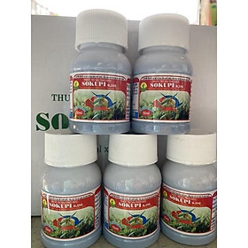 Mua SOKUPI chai 90ml -thảo mộc