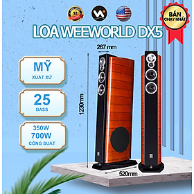 Mua Loa Weeworld DX5 Cao Cấp Cực Sang Bass 25 Công Suất Cực Khủng - Hàng Chính Hãng