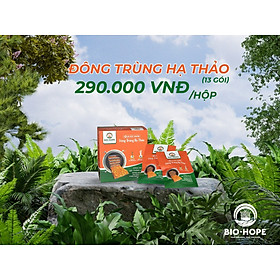 Đông Trùng Hạ Thảo khô hộp13 gói