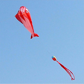 3D Kite Huge Frameless Soft Parafoil Giant Dolphin Kite Outdoor Sports blue