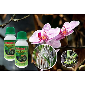 Mua Combo 2 chai Phân bón lá sinh học Chitosan1