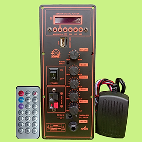 Mua Mạch loa kéo HA8622 cam đỏ công suất 80W 4R