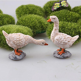 Mua Mô hình đôi vịt trắng trang trí tiểu cảnh sân vườn  bể thủy sinh  DIY