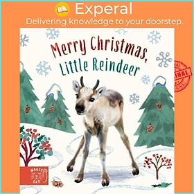 Sách - Merry Christmas, Little Reindeer by Bec Winnel (UK edition, boardbook)