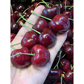 Cherry Mỹ Size 8.5 mix Size 9 1Kg