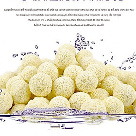 1KG Sứ Bi Lọc Nước Hồ Cá Cảnh | Vật Liệu Lọc Siêu Sạch Nước Bền Đẹp