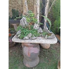 khây trồng cây bonsai- núi đá trồng cây