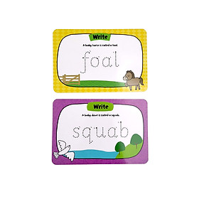 LCD Tablet & Flashcards - Baby Animals