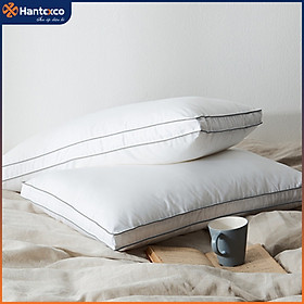 Mua Ruột gối Micro 2 viền cao cấp giả lông vũ Hantexco (size 45*65  50*70)