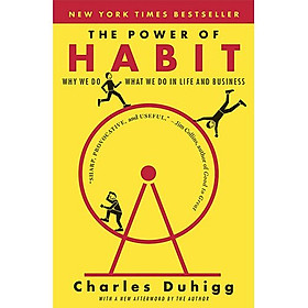 Hình ảnh The Power of Habit: Why We Do What We Do in Life and Business