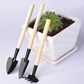 Mua Dụng cụ làm vườn Bộ 3 cuốc xẻng mini trồng tiểu cảnh xương rồng sen đá