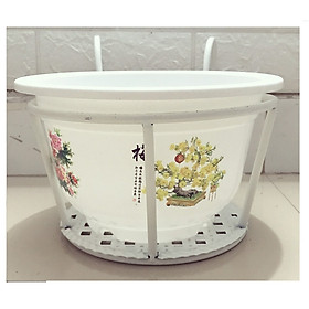 ComBo 1 GIỎ SẮT Treo Chậu Hoa Ban Công Hình Tròn - Màu Trắng + 1 Chậu Nhựa Trồng Hoa Cây Cảnh Bốn Mùa 250x170