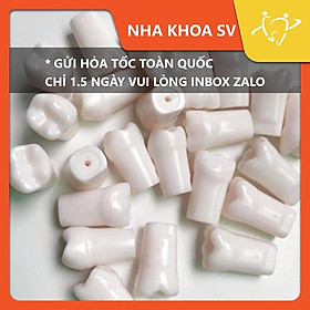 Răng nhựa nha khoa cho sinh viên thực hành (hàng có sẵn)