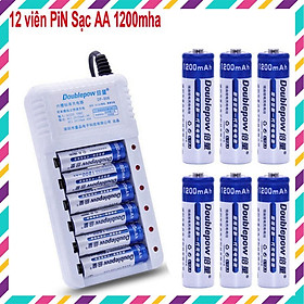 Combo Sạc DP-B06 Kèm Pin Sạc AA Doublepow 1200mAh lắp MIC không dây, máy đo huyết áp,remote