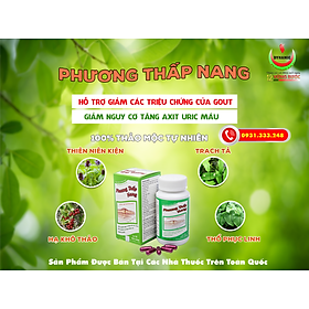 PHƯƠNG THẤP NANG - NĂNG ĐỘNG - HỖ TRỢ  VÀ NGĂN NGỪA GÚT